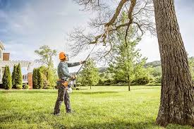 Best Seasonal Cleanup (Spring/Fall)  in Rockford, MI